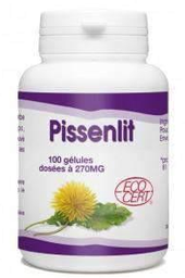 [40131] Bio Gph Pissenlit 100Cp 270Mg