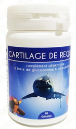 [14151] Hydraphyts Cartilage De Requin 60Gel