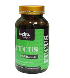 [08097] Hydraphyts Fucus Regime Minceur 90Gel