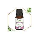 [15891] V Nature H Essen De Rose 15Ml