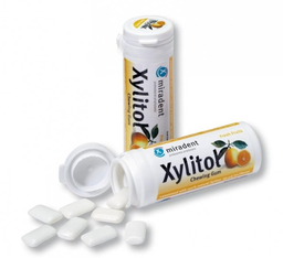 [15983] Xylitol 30 Chwing Gum Fruits