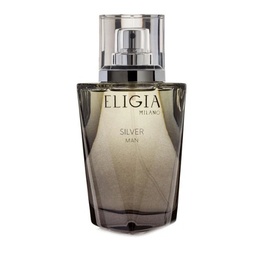 [40537] Eligia Silver Parfum Homme 100ml