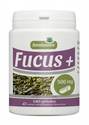 [13194] Bio Gph Fucus+100Gel 500Mg