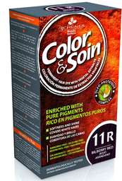 [13412] Color & Soin Rouge Myrtille 11R